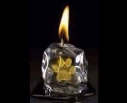 [Image: 464299872-1259873325019528-4310129511323653940-n.jpg]