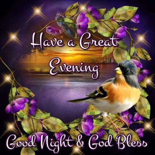 227-have-a-great-evening-goo-night