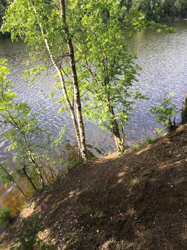 93D20A15-3C36-4A42-946A-427063FE5BD5