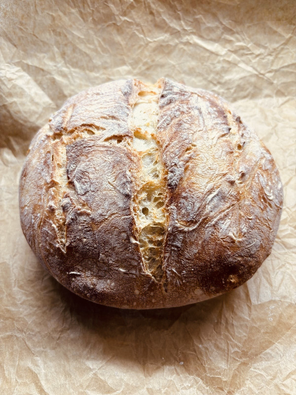 b9971dd6 4871 43c2 a7fc 11ffbfab2061