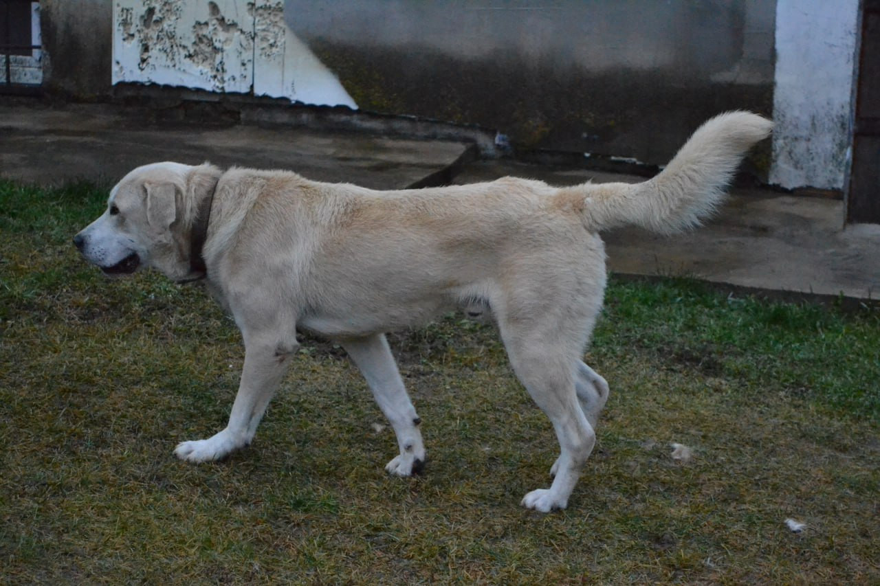 photo 2026 01 07 16 13 35