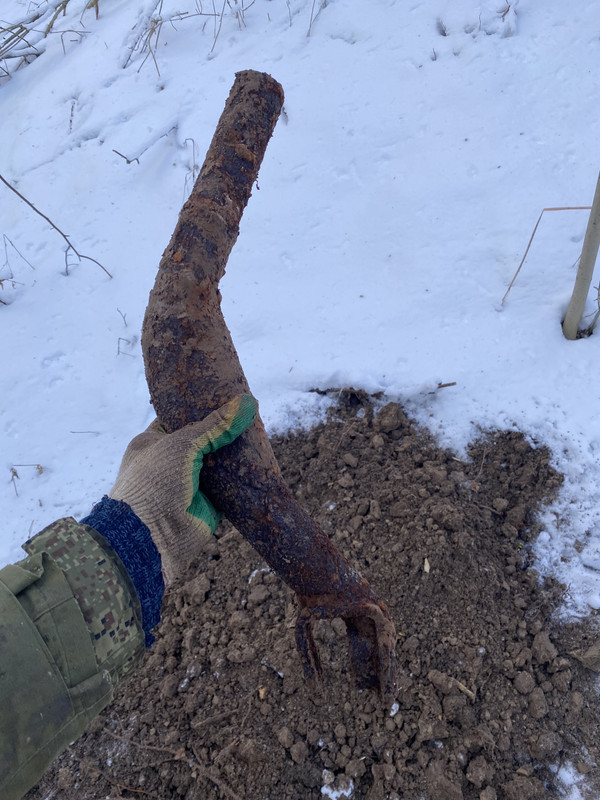 1D1D9E06-3F3A-4635-98CC-65E3A0134319