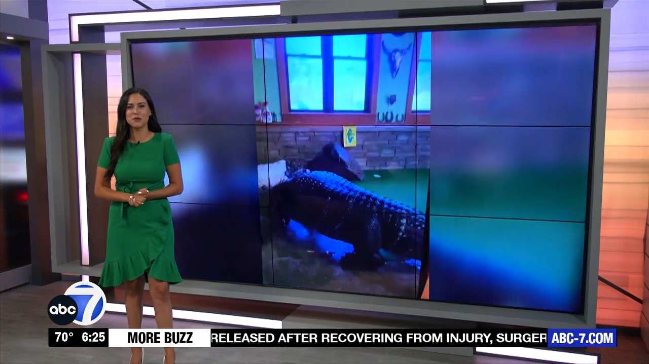 Abc7 More In The Morning Wkn 6Am Su 20240317 10001100-1.mp4_snapshot_21.38.286