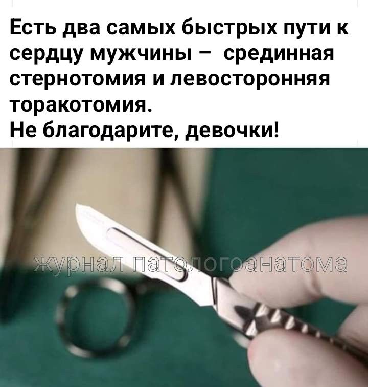 462504540-1716272005829088-6280580774718