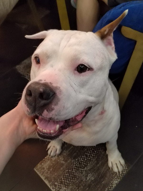 6769D683-6D3A-4237-9844-61CD6C10C401