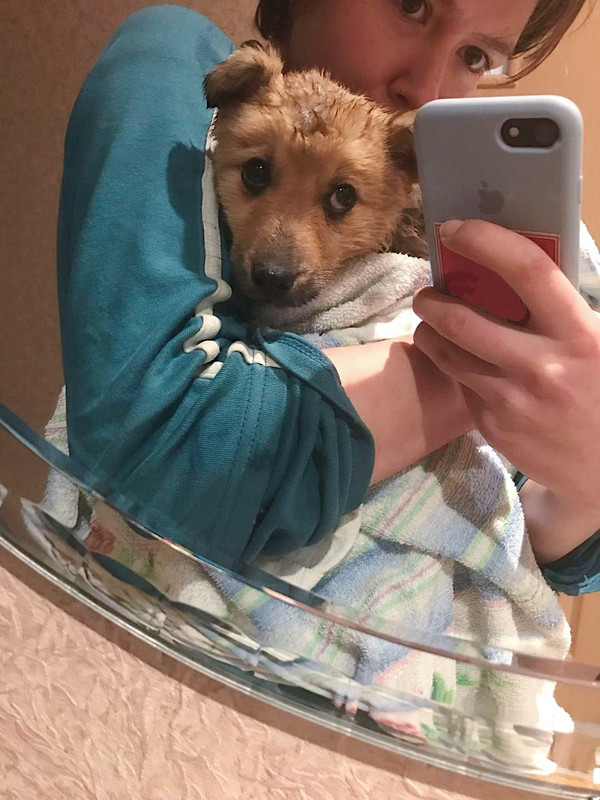 03CF5799-510D-4B97-A09B-11F3DBE11039