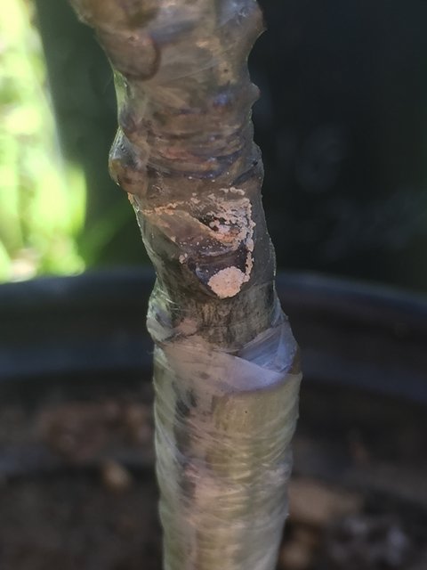 E5126A7B-F882-4B89-AC1A-AFBD88C8E7A9