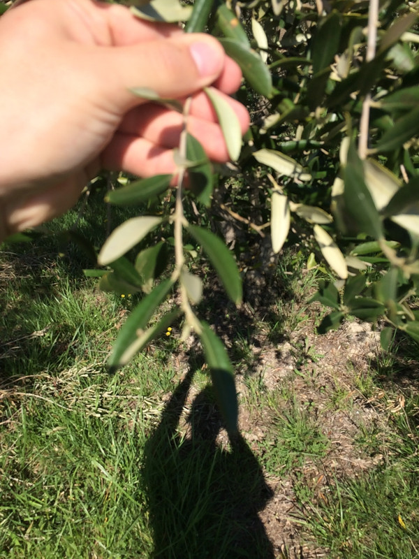 C3F409B2-B6F0-41DE-BFF0-DCF7FF707A90