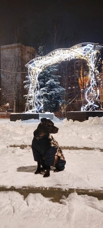 71B4277D-1768-4AE1-9D9F-8ECAC971ED74