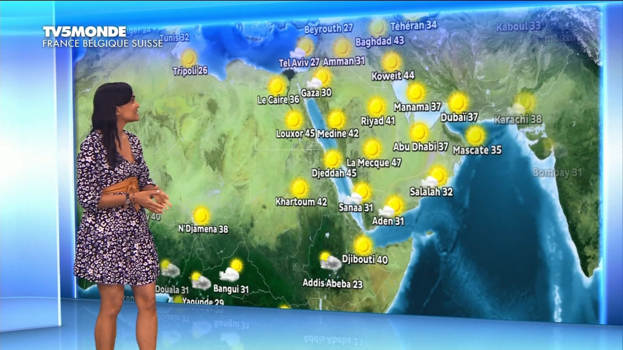 22 June - 17.25.00 - Météo. Le bulletin météorologique international.ts_snapshot_13.12.260