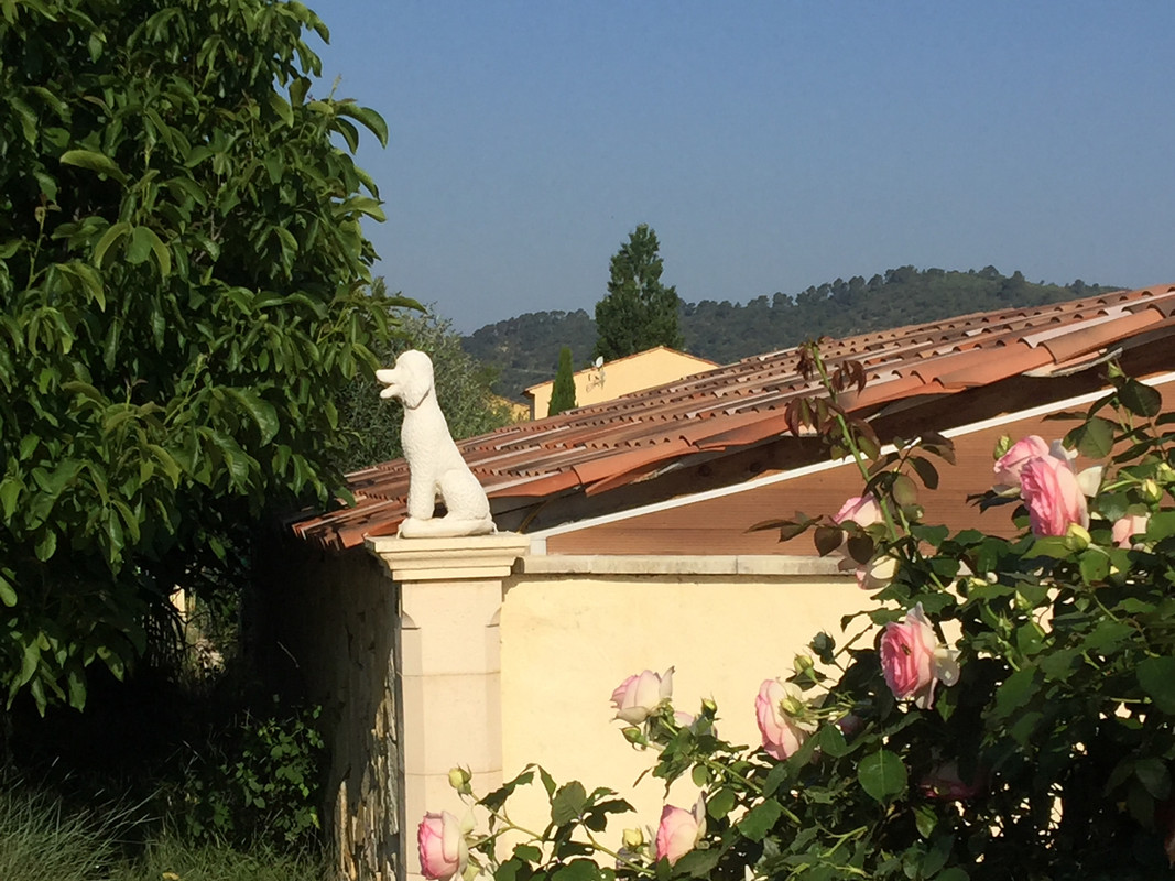 84B0519E-F07C-4721-AEDE-CD179FC33B52