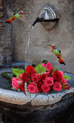 Image Hosted by uploader.be