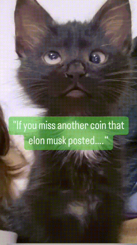 471136ff388b461b8db413bd1e79681b.gif
