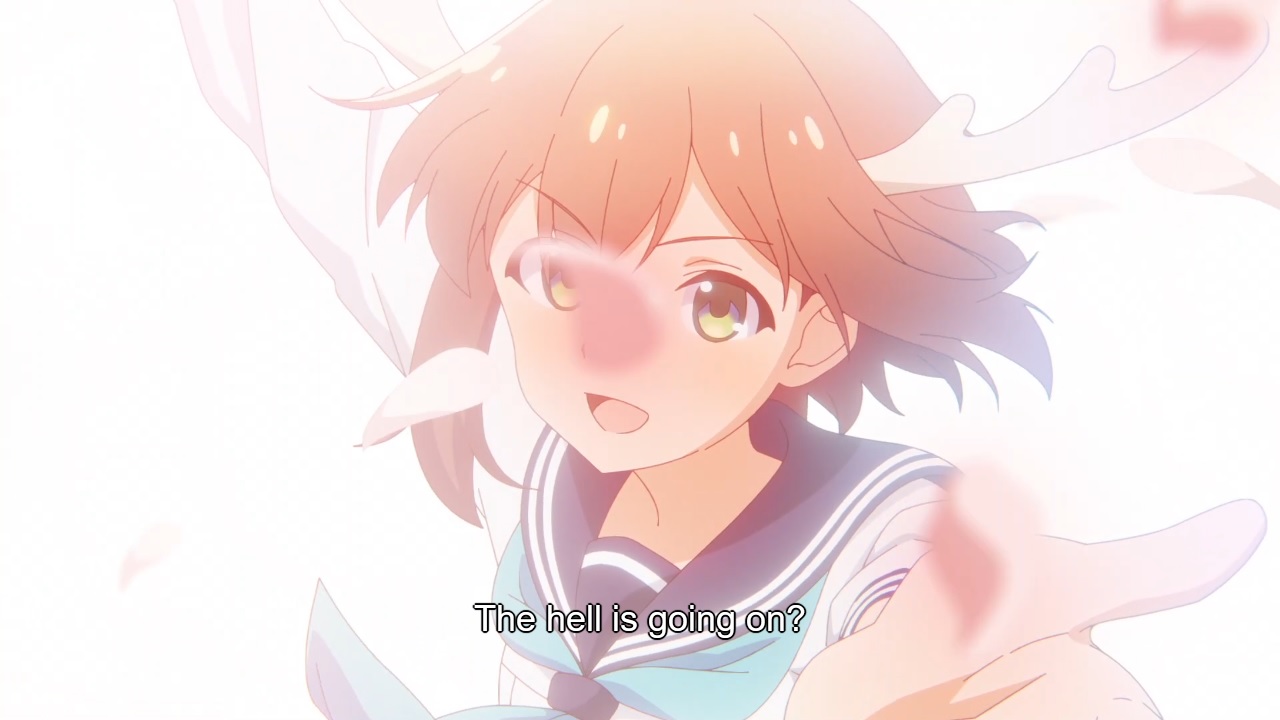 ooooooooooooooooh.jpg