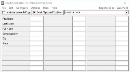 ElectraSoft Multi Clipboard 20.09.01