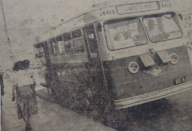 [Image: 14590044-223379748078178-3579529632561491565-o.jpg]