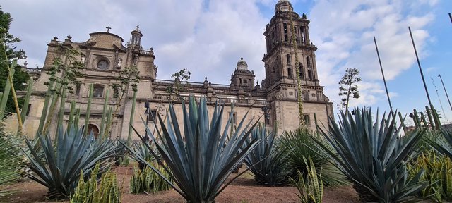 DÍA 8. VIERNES 30 OCTUBRE 2020 REGRESO A CIUDAD DE MÉXICO - MÉXICO, GUANAJUATO Y PUEBLA. OCTUBRE 2020 (6)