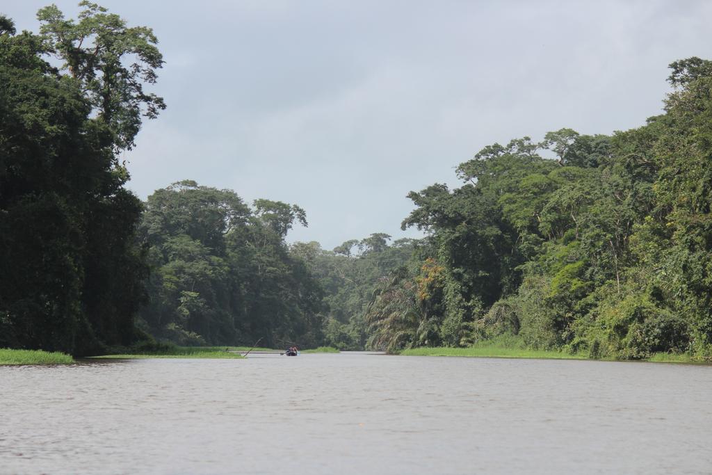 DIA 3: CANALES, COLINAS Y TORTUGAS - DE TORTUGAS Y PEREZOSOS. COSTA RICA 2019 (21)