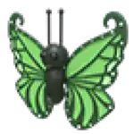 Green Butterfly