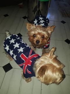 WhatsApp Image 2019-12-17 at 16.16.05