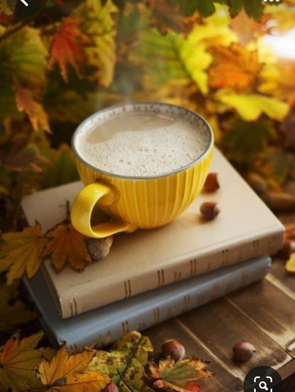 Screenshot_20230905_013725_Pinterest