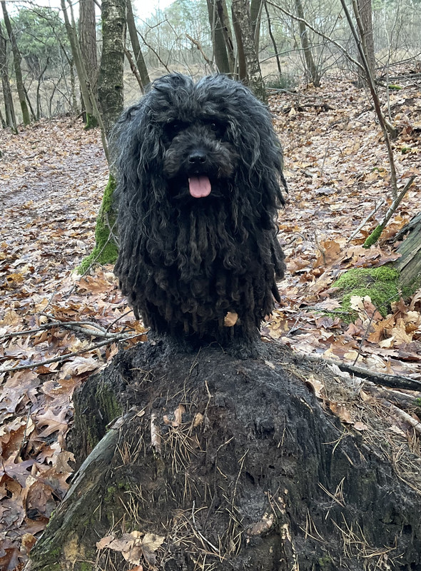 72683B94-4EB9-43E2-91D3-ECD22D478B20
