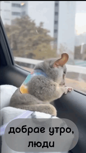 dobroe-utro-good-morning.gif