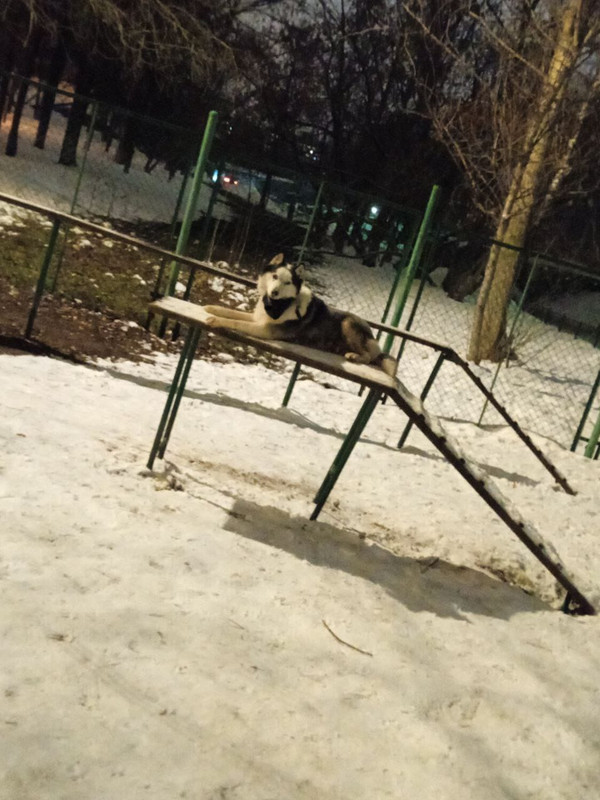 38BBDF5C-42CE-4854-A5C8-79C0BD131D87