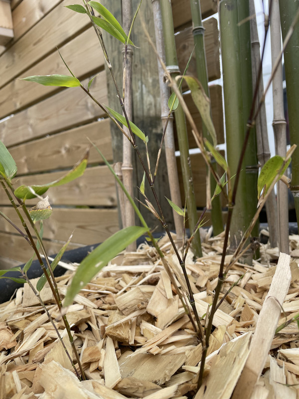 56C1349B-24C7-42BF-A1C0-71716F6003A0