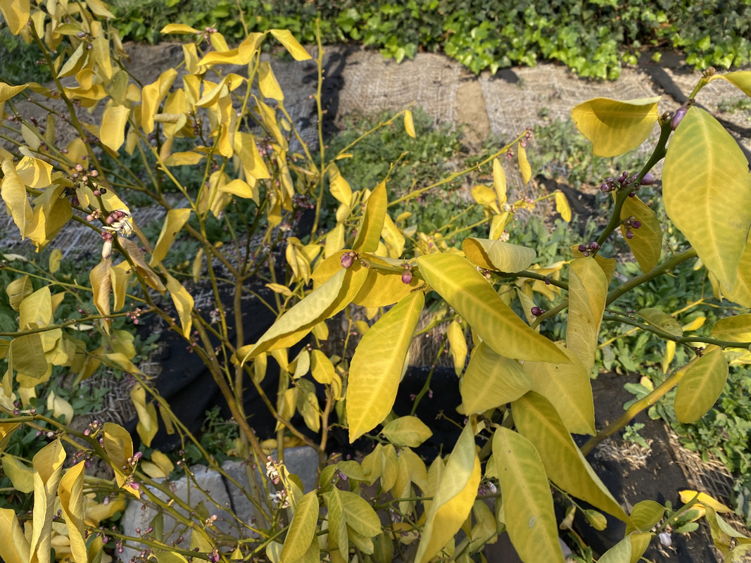 DEECF505-6F19-4A9C-B81C-FA0EFA81BE29