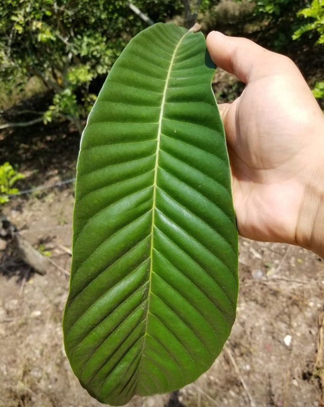 Screenshot 20251221 012117 Facebook