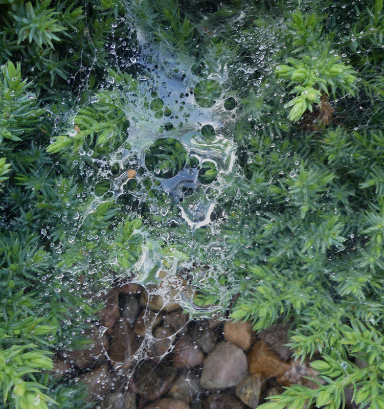 WEB 1 270724