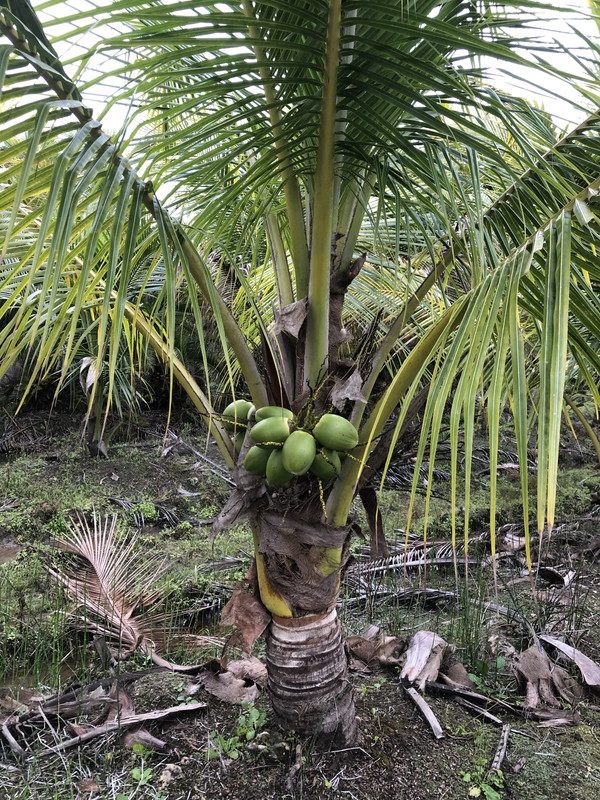 77B5539D-E7A3-49F4-9A83-00447E3B518E