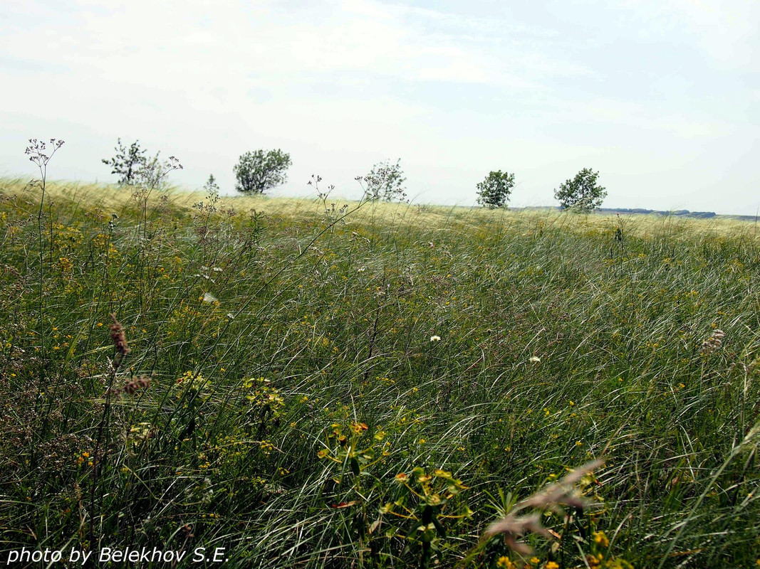 Дивногорье