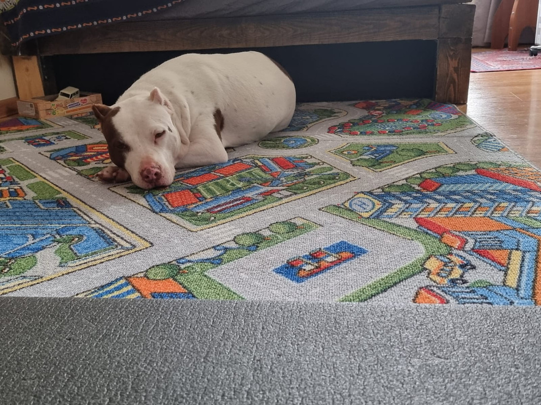 3F70ED7F-E316-4C11-97D6-20C1BDC15D6E