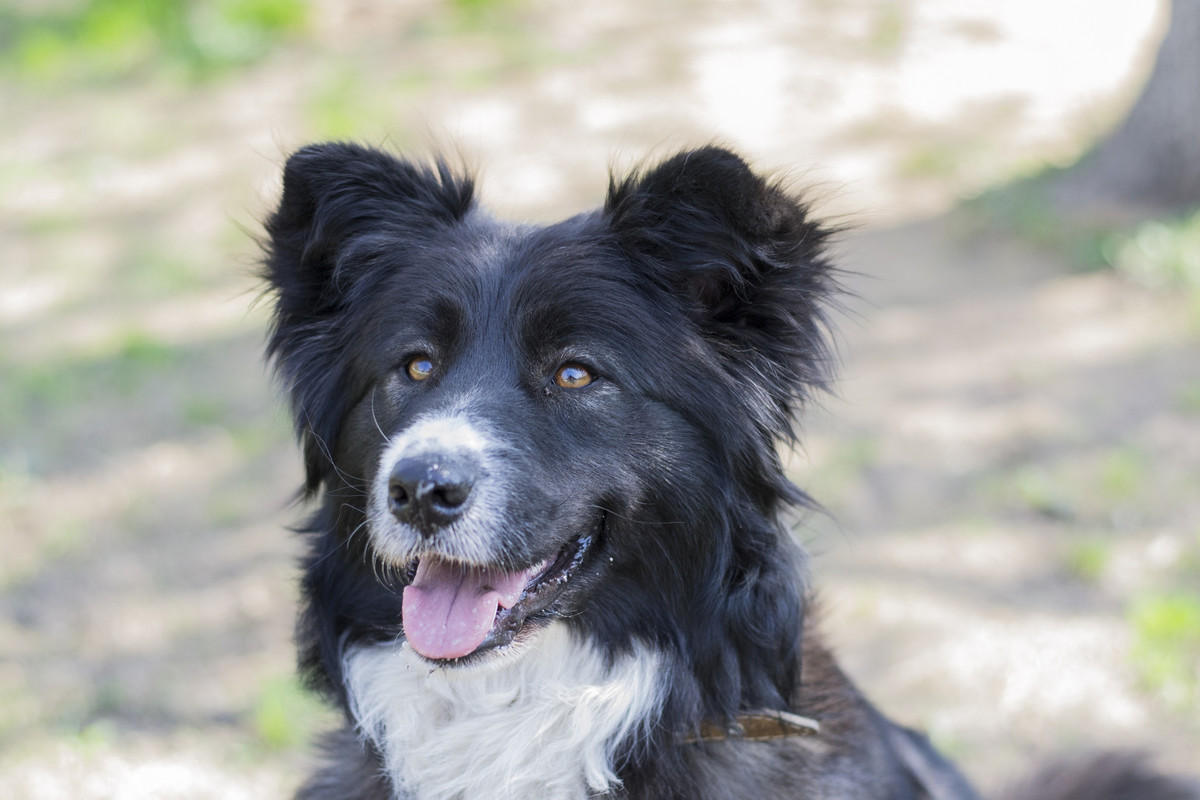 Фортуна_04_19_м11