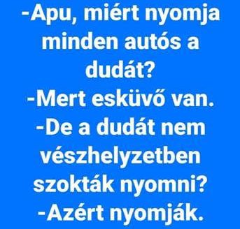 https://i.postimg.cc/1Xzt9t4v/apu-miertnyomja.jpg