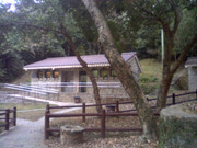 picture-0011_27057880458_o