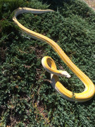 2B0F03F2-4759-4958-AA88-58D8AD44DC28