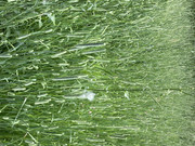 Grassroots-Level