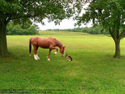 33D3603B-EBC9-4B89-BFF3-09A636224A94