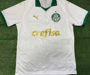 Palmeiras-II-24-25.jpg