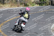 IMG-1362