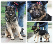 Be-Funky-collage-24.jpg&key=940fc65b9a78