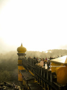 photo 1 2026 01 10 15 57 53