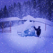 Serbian Gazelle in Snow (Snow Effect)