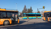 IMG-5242