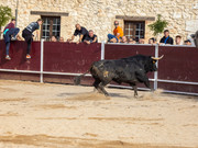 IMG-0012
