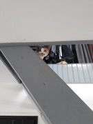 WILLOW 20190511-160555