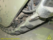 IMG-8677
